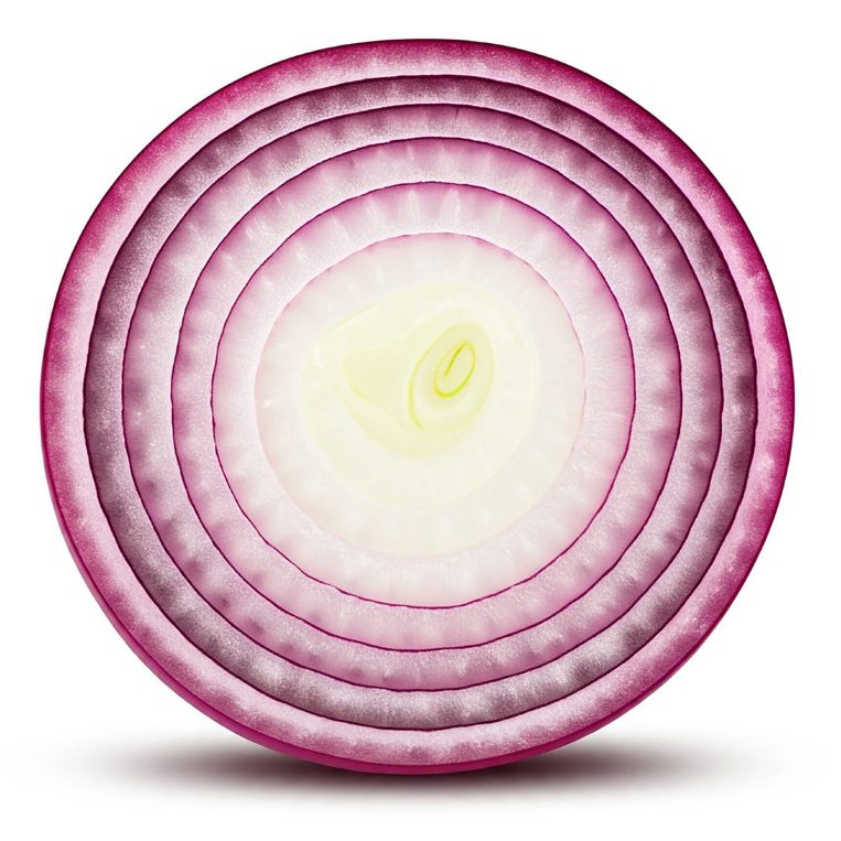 Cross-section of a red onion showing its layers